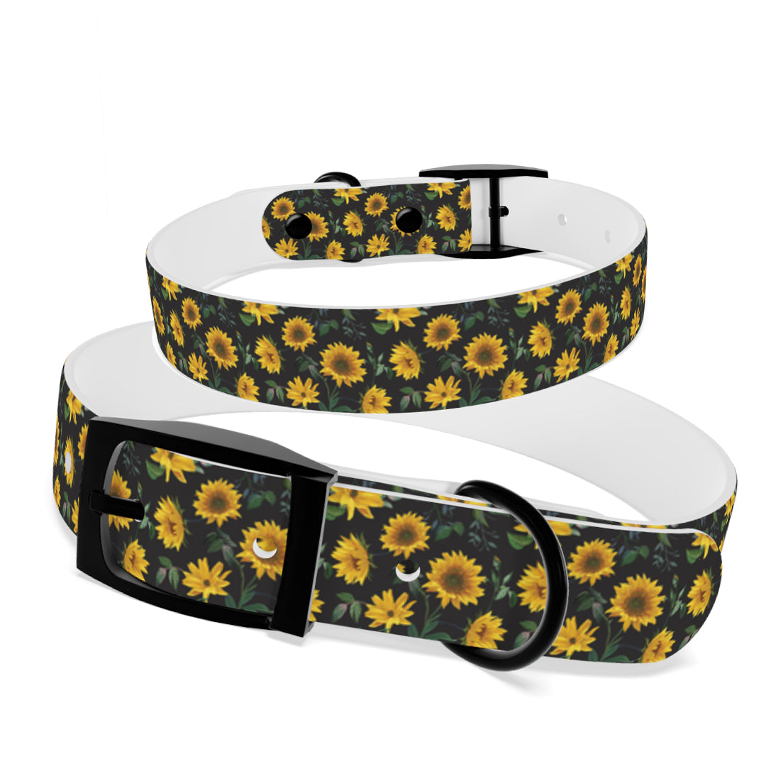 Personalized Sunflower Dog Collar | Antimicrobial, Waterproof & Odor Resistant