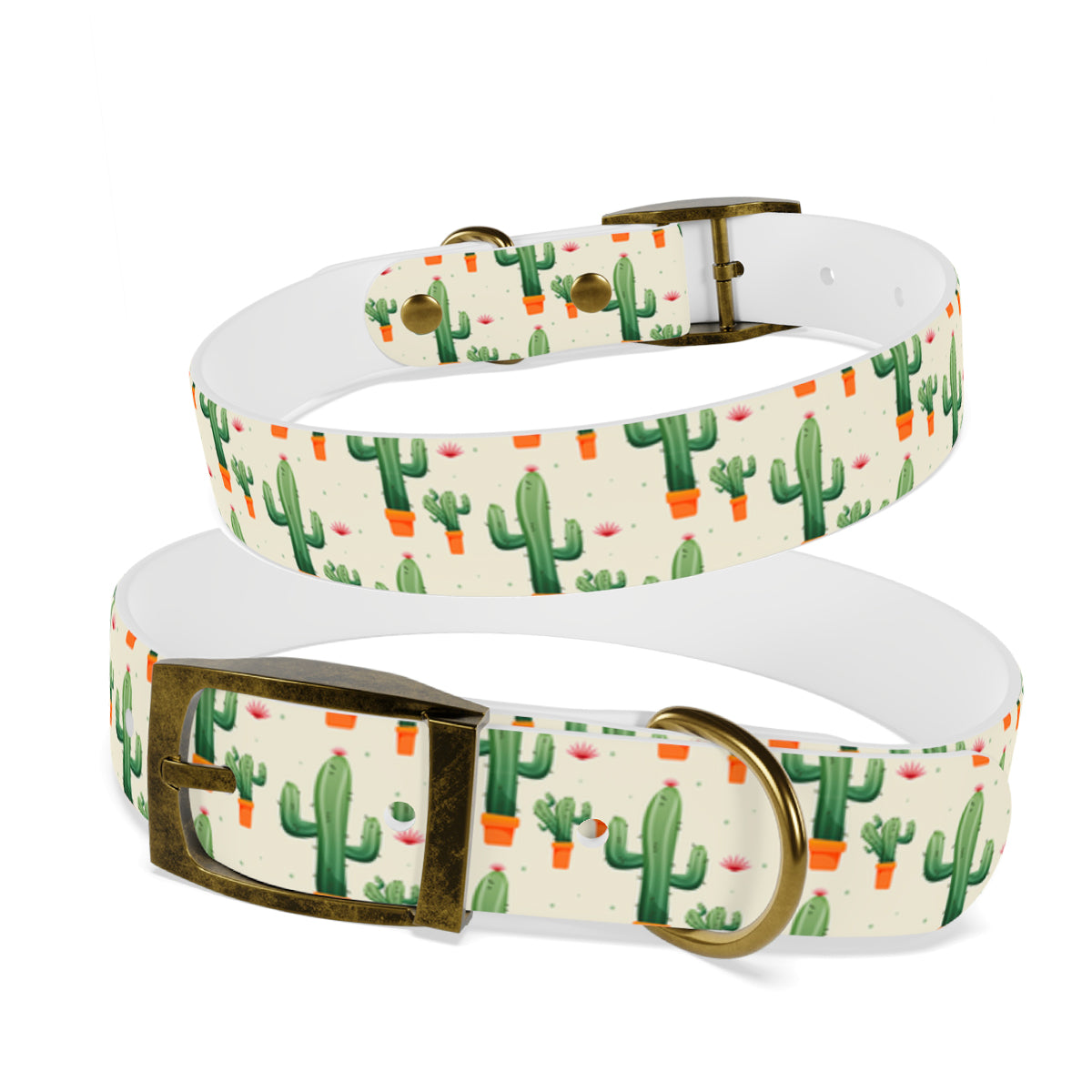 Personalized Cactus Dog Collar | Antimicrobial, Waterproof & Odor Resistant