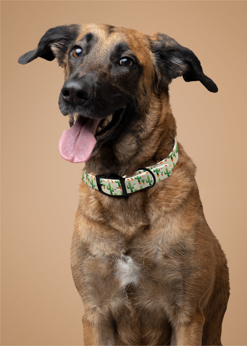 Personalized Cactus Dog Collar | Antimicrobial, Waterproof & Odor Resistant