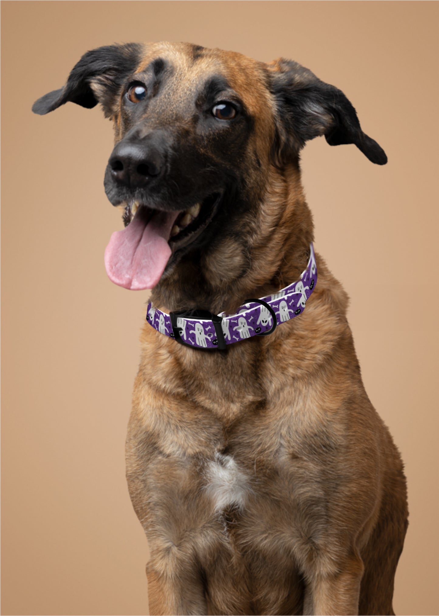 Personalized Ghost Dog Collar | Antimicrobial, Waterproof & Odor Resistant