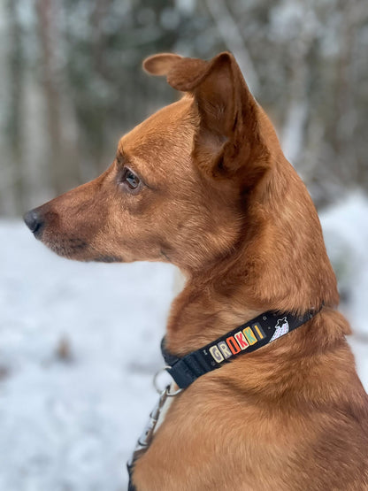 Personalized Collar - Cosmos