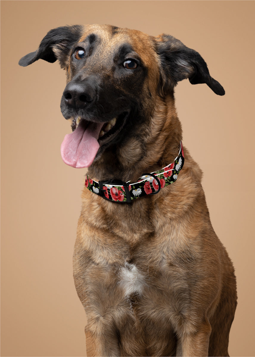 Personalized Poppy Dog Collar | Antimicrobial, Waterproof & Odor Resistant