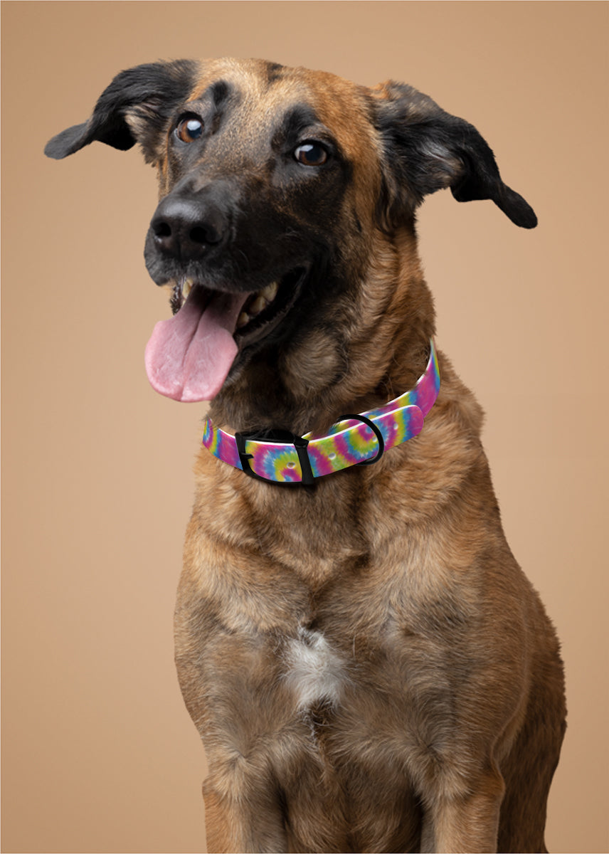 Personalized Tie Dye Dog Collar | Antimicrobial, Waterproof & Odor Resistant