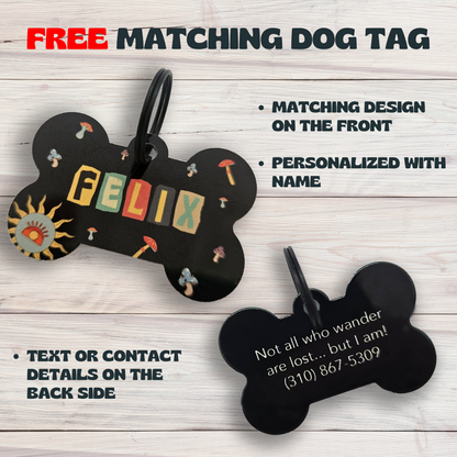Collar + Free Dog Tag - Good Vibes