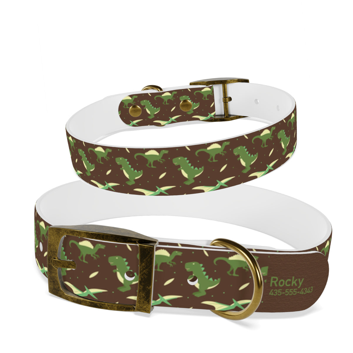 Personalized Dinosaur Dog Collar | Antimicrobial, Waterproof & Odor Resistant